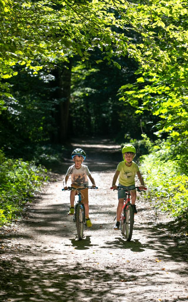 À vélo à sur les chemins à Cibeins