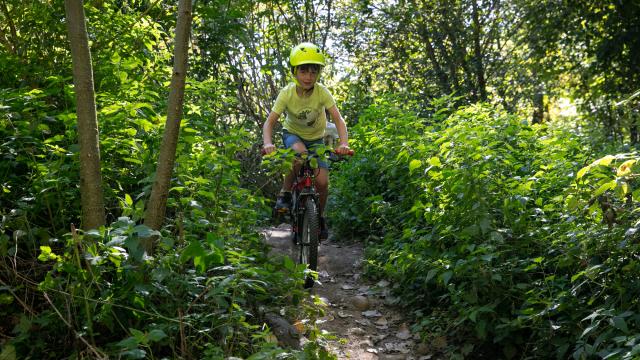 À vélo au Parc de Cibeins à Misérieux